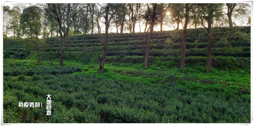 图片 4.png 图片 4.png