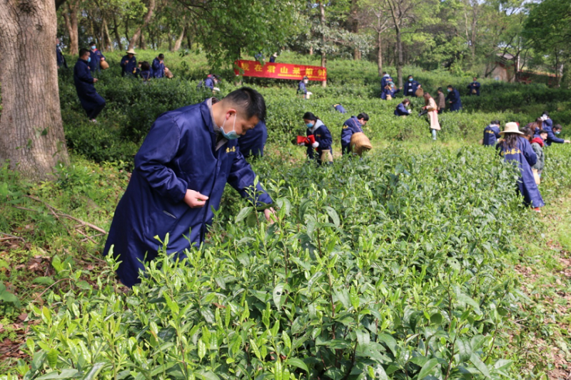 图片 1_2.png 图片 1_2.png